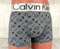 Мужские трусы Calvin Klein tr43m